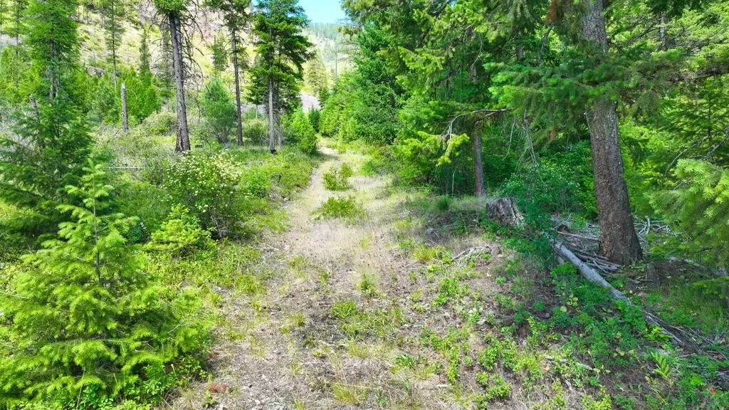 Nhn W Mountain Creek Road Alberton MT 59820