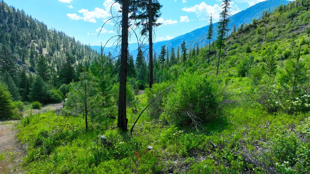 Nhn W Mountain Creek Road Alberton MT 59820