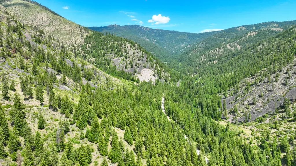 Nhn W Mountain Creek Road Alberton MT 59820