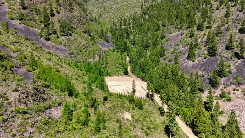 Nhn W Mountain Creek Road Alberton MT 59820