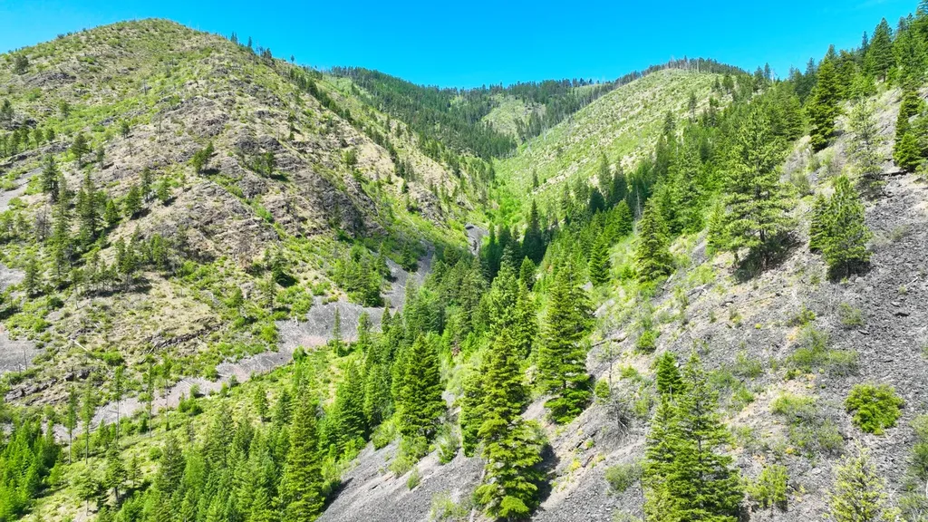 Nhn W Mountain Creek Road Alberton MT 59820