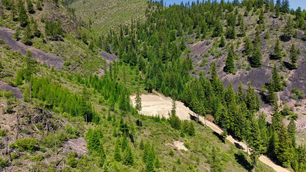 Nhn W Mountain Creek Road Alberton MT 59820