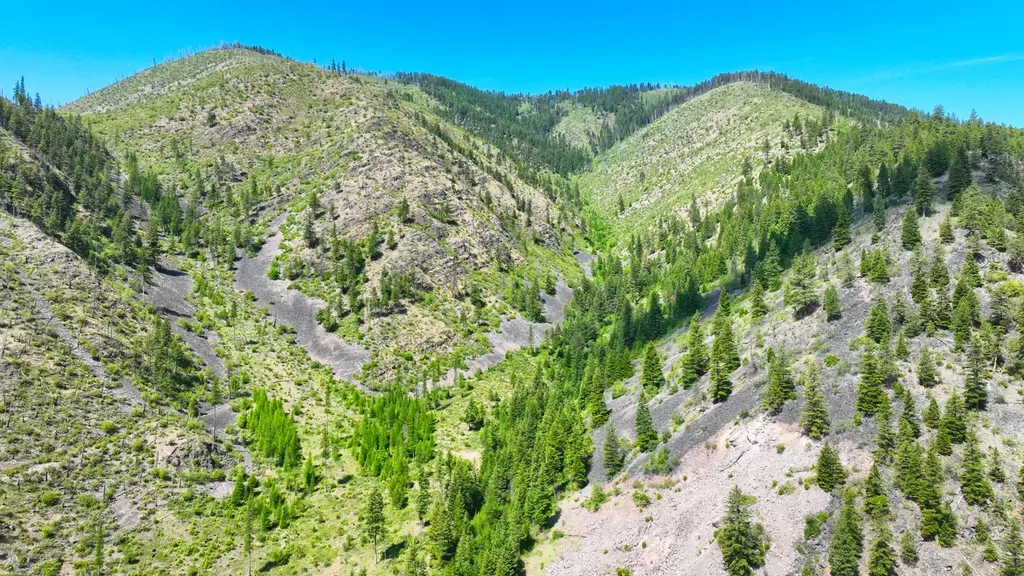 Nhn W Mountain Creek Road Alberton MT 59820