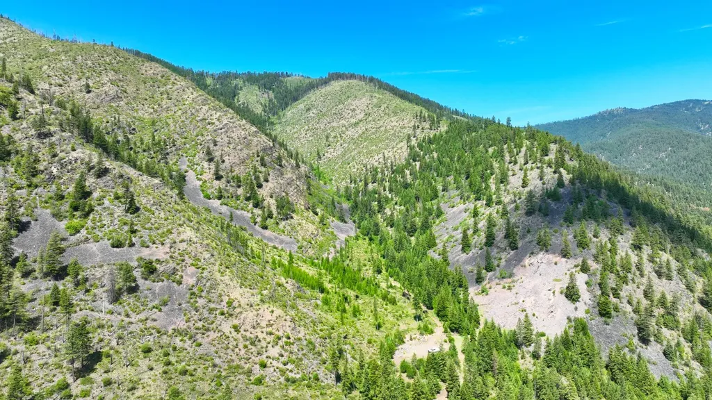Nhn W Mountain Creek Road Alberton MT 59820