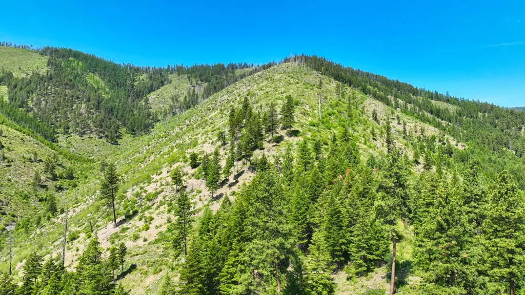 Nhn W Mountain Creek Road Alberton MT 59820