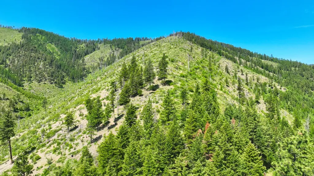 Nhn W Mountain Creek Road Alberton MT 59820
