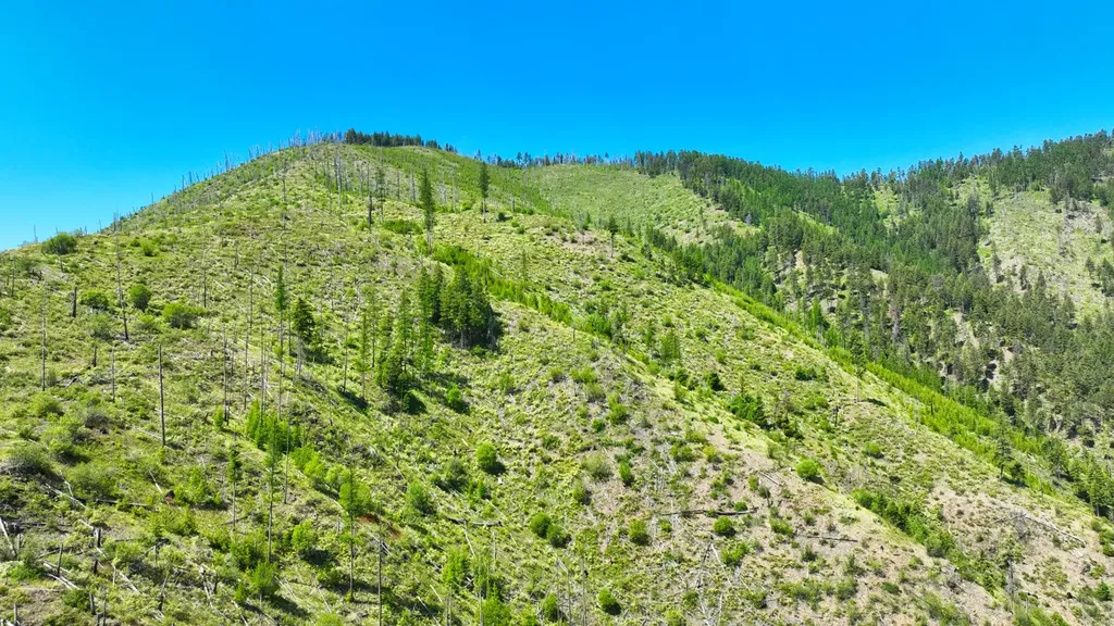 Nhn W Mountain Creek Road Alberton MT 59820