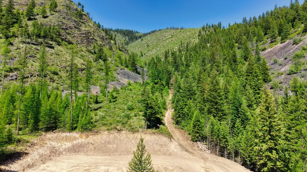 Nhn W Mountain Creek Road Alberton MT 59820