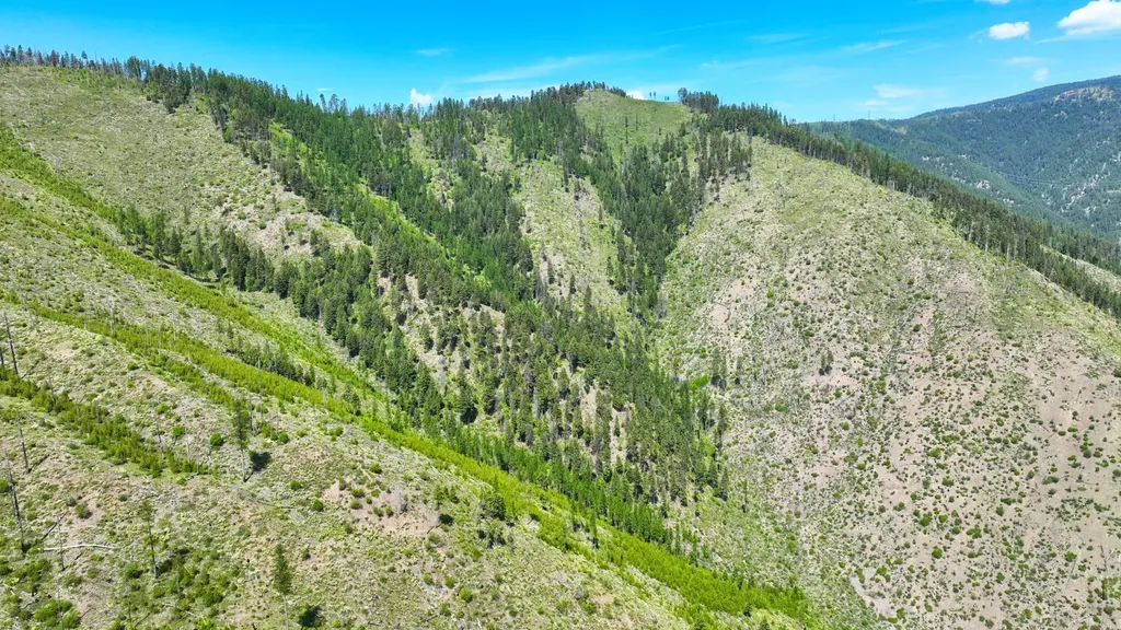 Nhn W Mountain Creek Road Alberton MT 59820