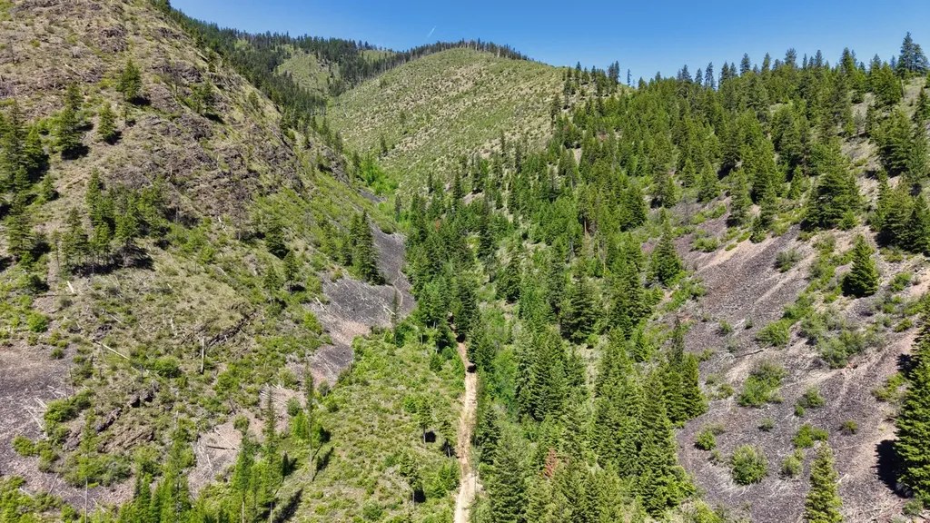 Nhn W Mountain Creek Road Alberton MT 59820