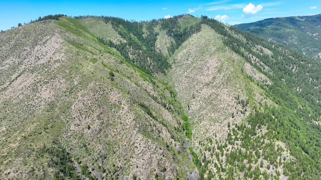 Nhn W Mountain Creek Road Alberton MT 59820
