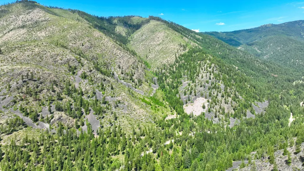 Nhn W Mountain Creek Road Alberton MT 59820