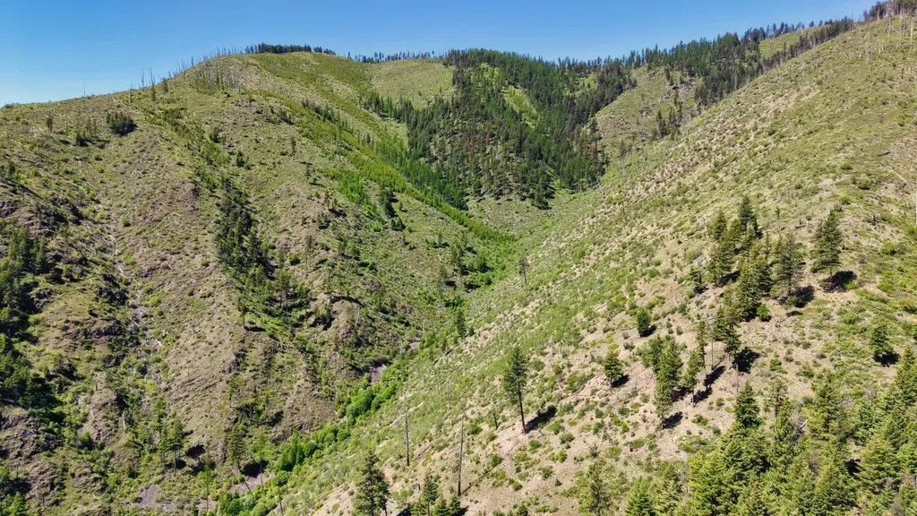 Nhn W Mountain Creek Road Alberton MT 59820