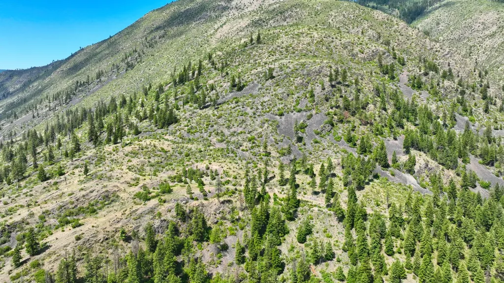 Nhn W Mountain Creek Road Alberton MT 59820