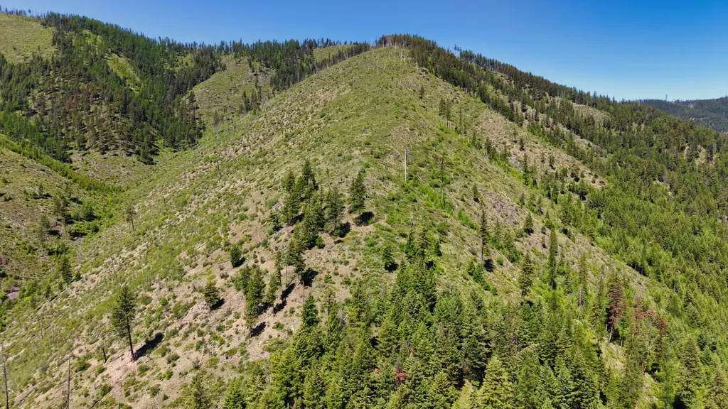 Nhn W Mountain Creek Road Alberton MT 59820