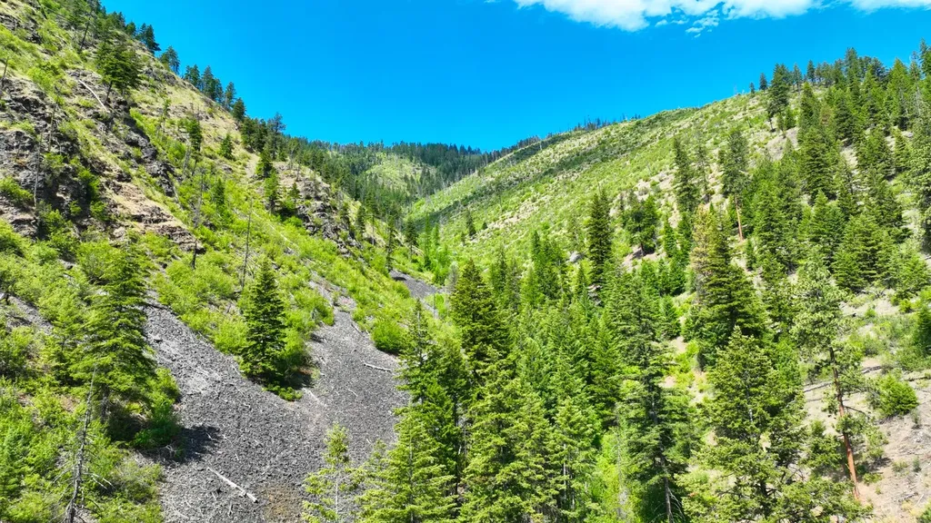 Nhn W Mountain Creek Road Alberton MT 59820
