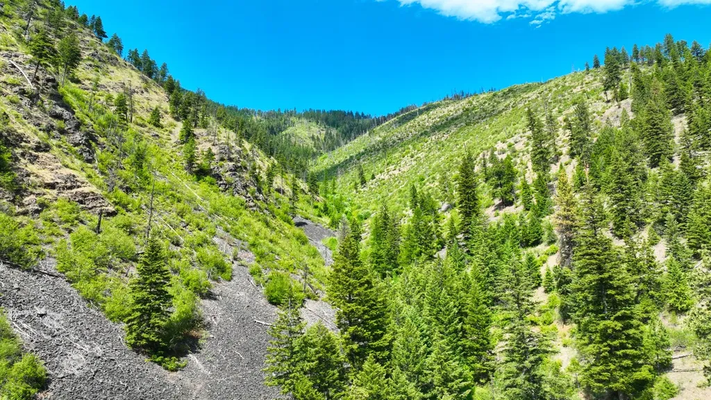 Nhn W Mountain Creek Road Alberton MT 59820