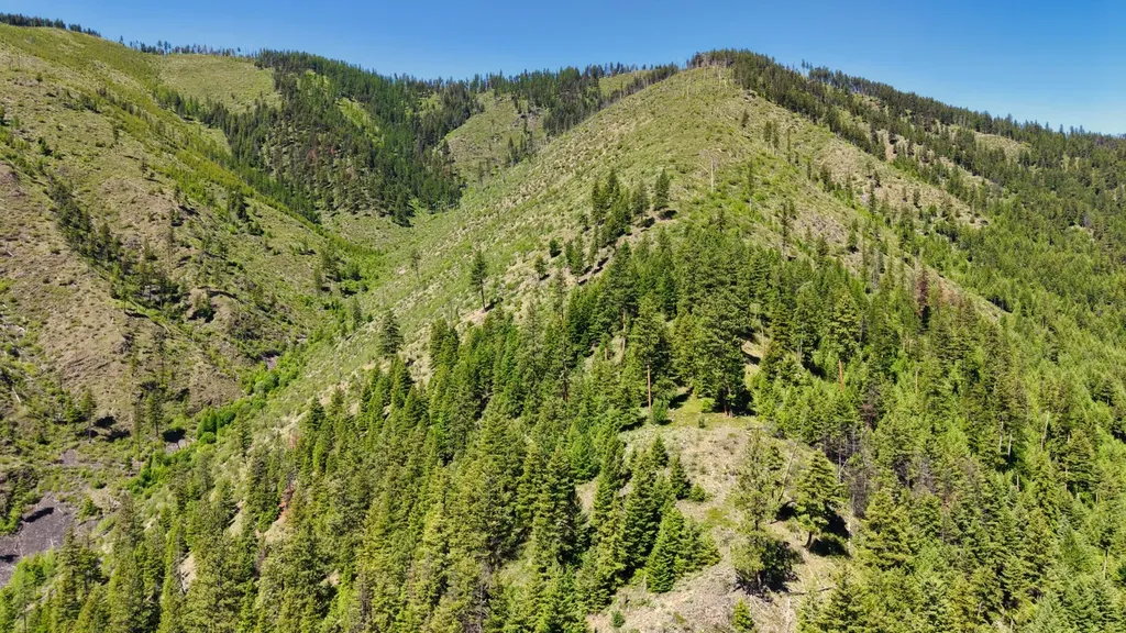 Nhn W Mountain Creek Road Alberton MT 59820