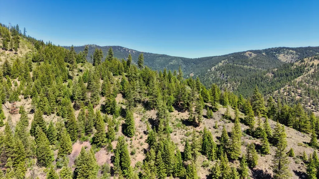 Nhn W Mountain Creek Road Alberton MT 59820