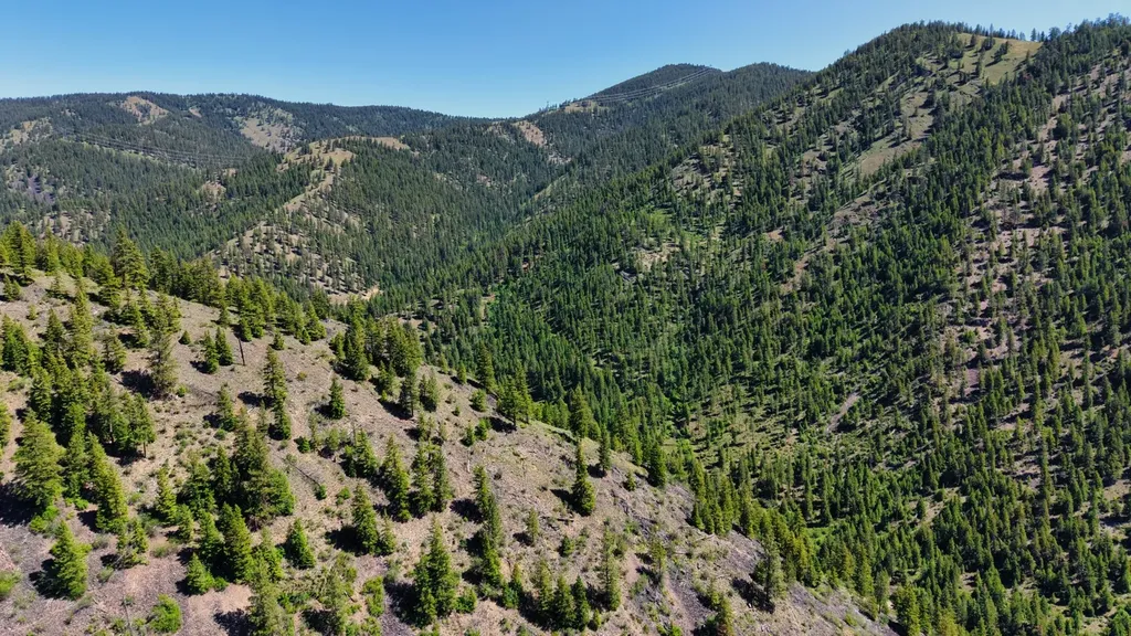 Nhn W Mountain Creek Road Alberton MT 59820