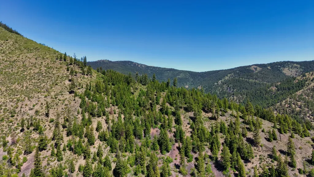 Nhn W Mountain Creek Road Alberton MT 59820