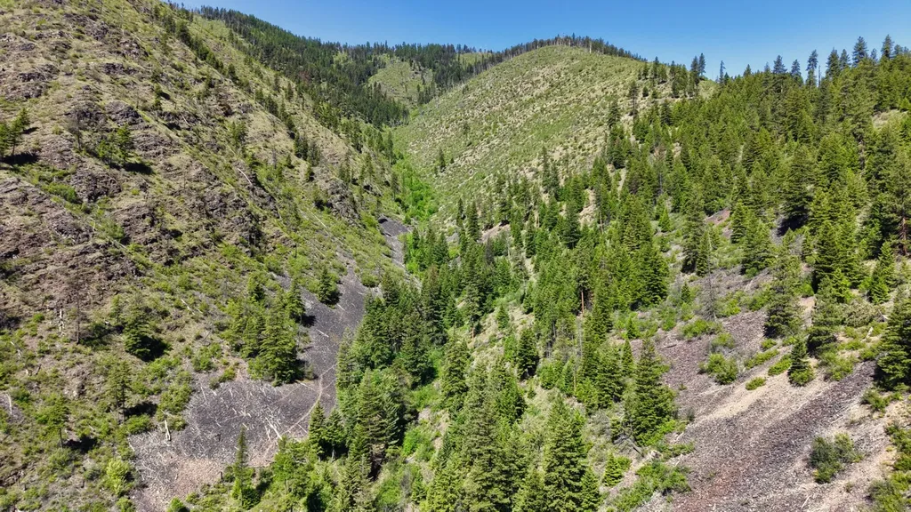 Nhn W Mountain Creek Road Alberton MT 59820