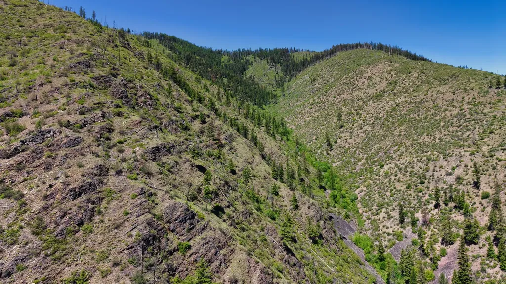 Nhn W Mountain Creek Road Alberton MT 59820