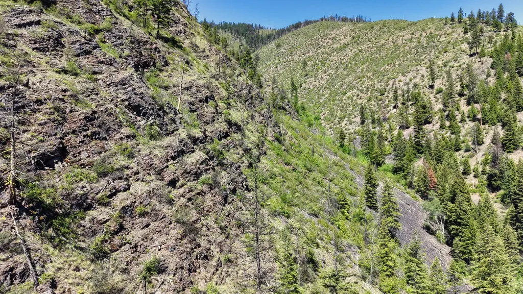 Nhn W Mountain Creek Road Alberton MT 59820