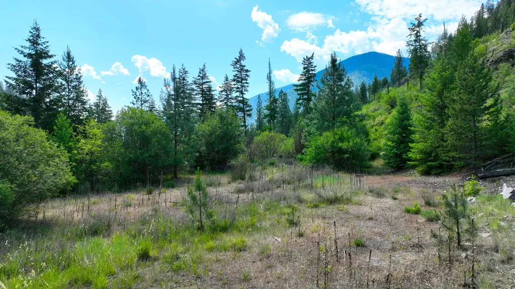 Nhn W Mountain Creek Road Alberton MT 59820