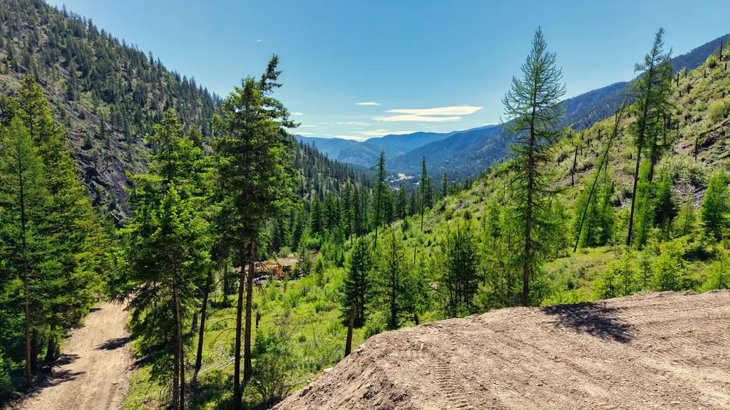 Nhn W Mountain Creek Road Alberton MT 59820