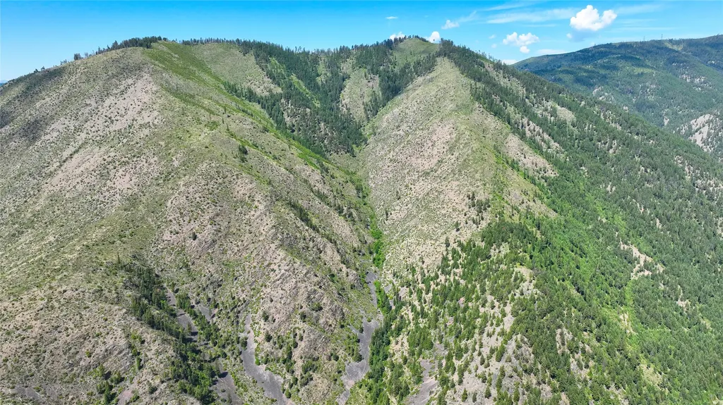Nhn W Mountain Creek Road Alberton MT 59820