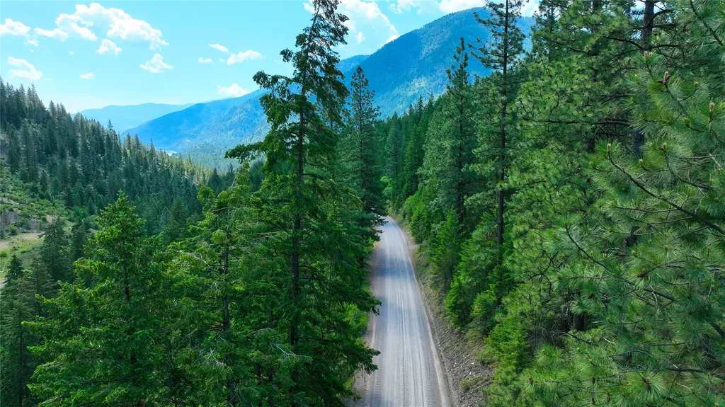 Nhn W Mountain Creek Road Alberton MT 59820