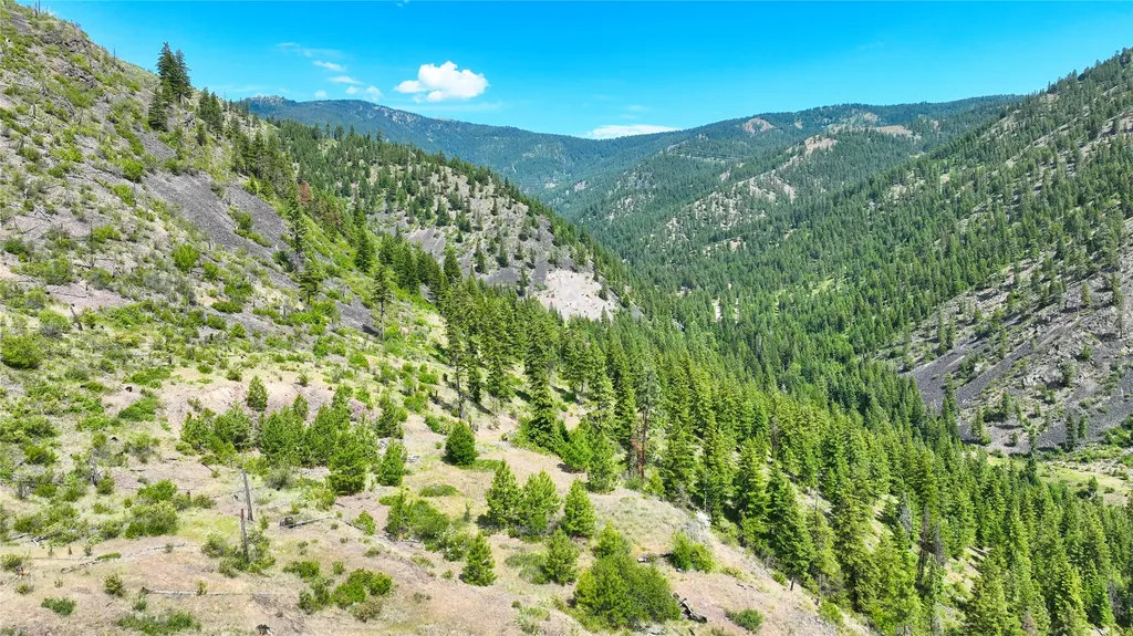 Nhn W Mountain Creek Road Alberton MT 59820