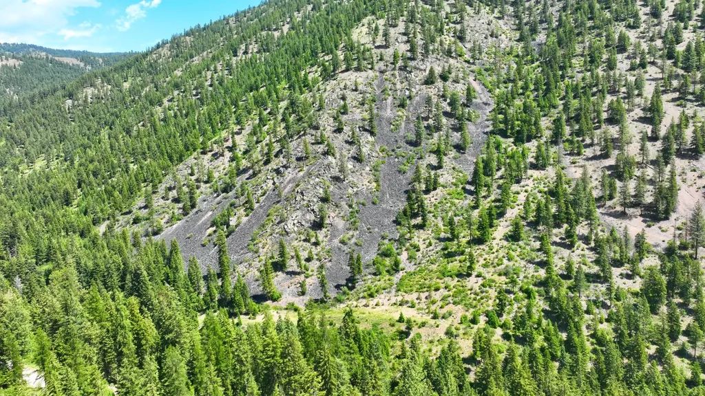 Nhn W Mountain Creek Road Alberton MT 59820