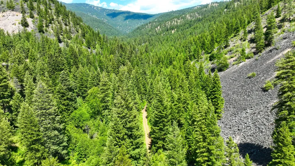 Nhn W Mountain Creek Road Alberton MT 59820