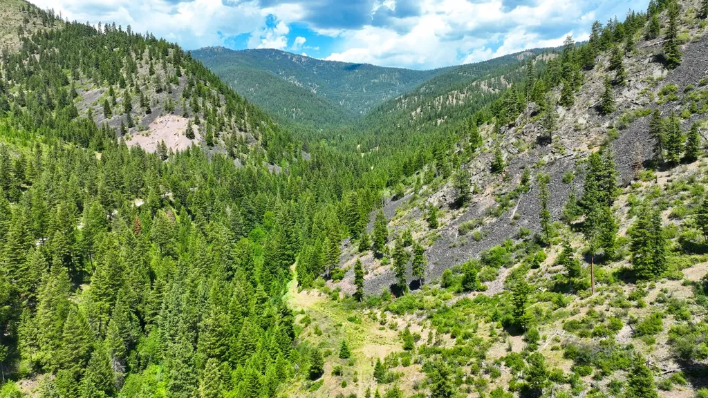 Nhn W Mountain Creek Road Alberton MT 59820