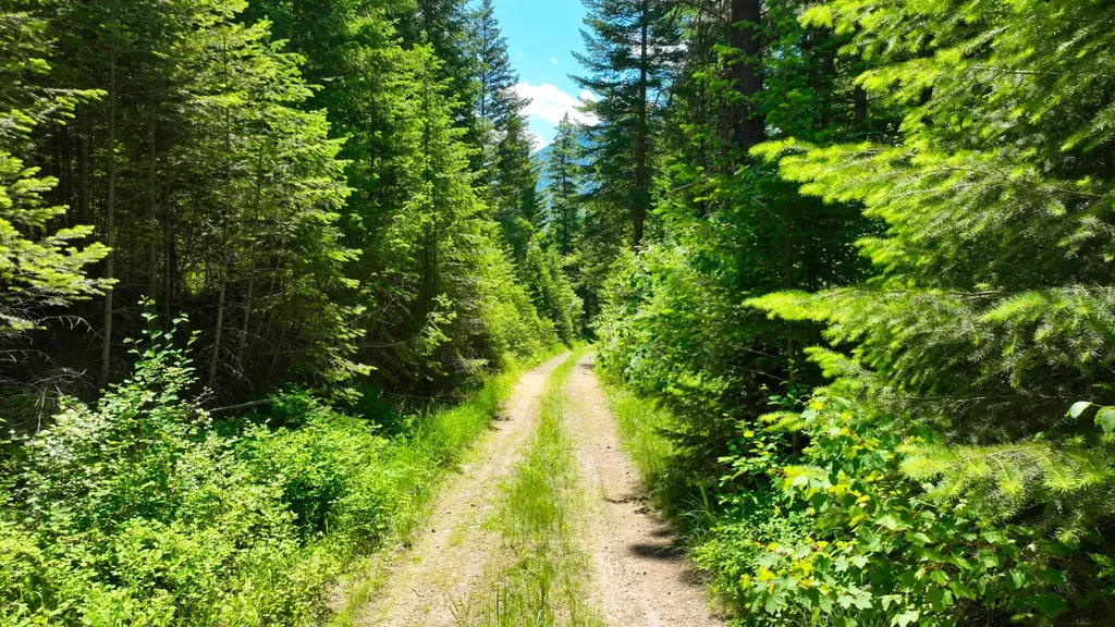 Nhn W Mountain Creek Road Alberton MT 59820
