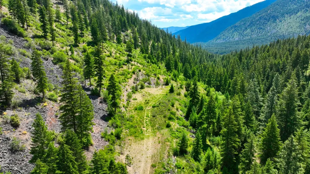 Nhn W Mountain Creek Road Alberton MT 59820