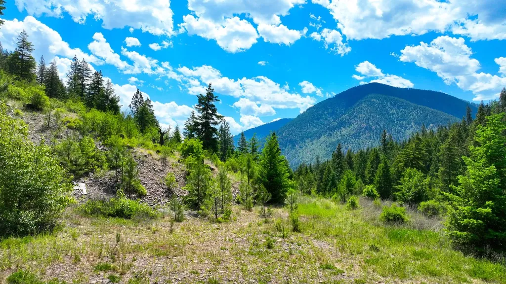 Nhn W Mountain Creek Road Alberton MT 59820
