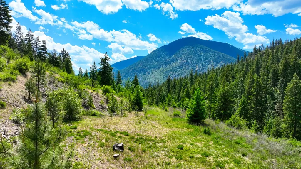 Nhn W Mountain Creek Road Alberton MT 59820