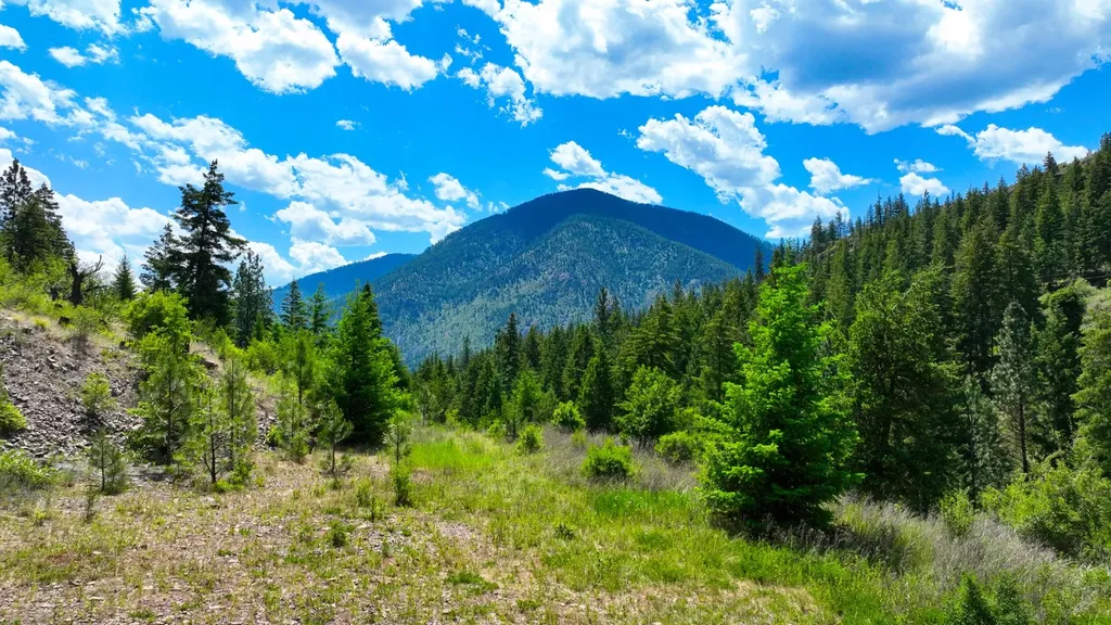Nhn W Mountain Creek Road Alberton MT 59820