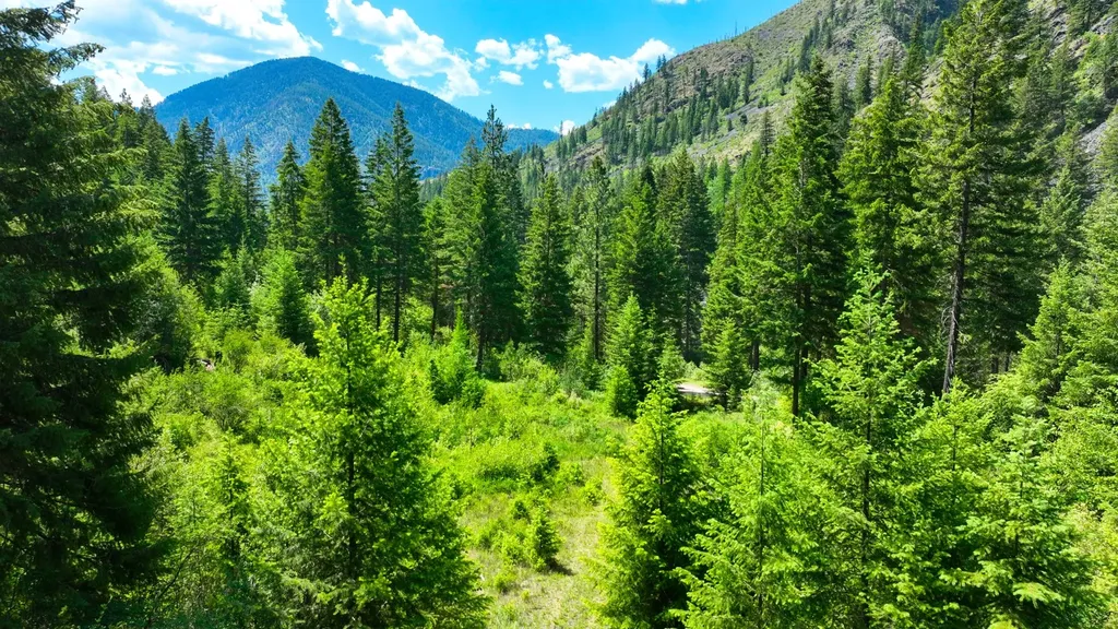 Nhn W Mountain Creek Road Alberton MT 59820