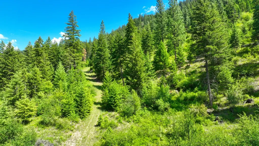 Nhn W Mountain Creek Road Alberton MT 59820