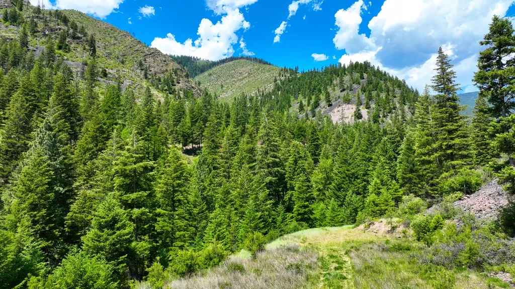 Nhn W Mountain Creek Road Alberton MT 59820