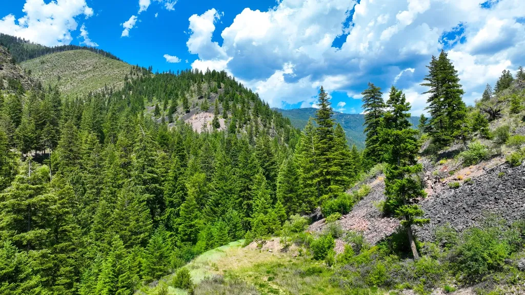 Nhn W Mountain Creek Road Alberton MT 59820