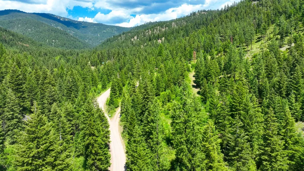 Nhn W Mountain Creek Road Alberton MT 59820
