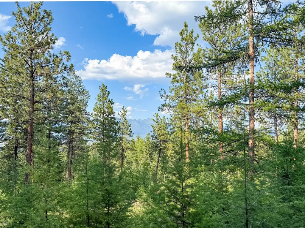 148 Tiny Acres Trail Rexford MT 59930