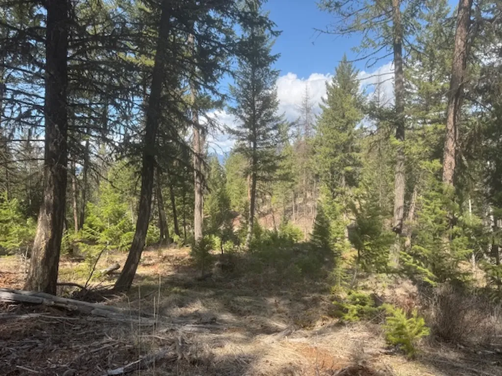 148 Tiny Acres Trail Rexford MT 59930