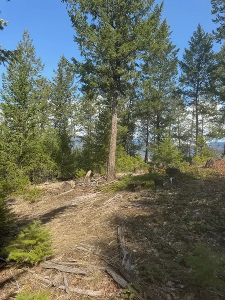 148 Tiny Acres Trail Rexford MT 59930