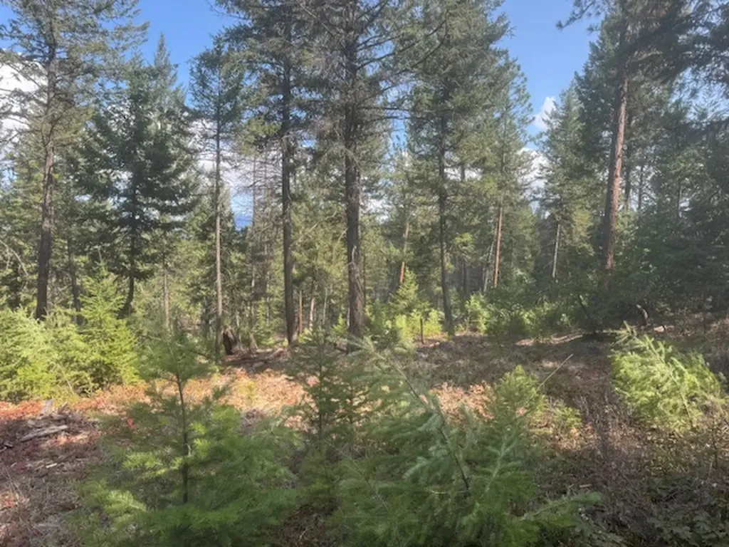 148 Tiny Acres Trail Rexford MT 59930